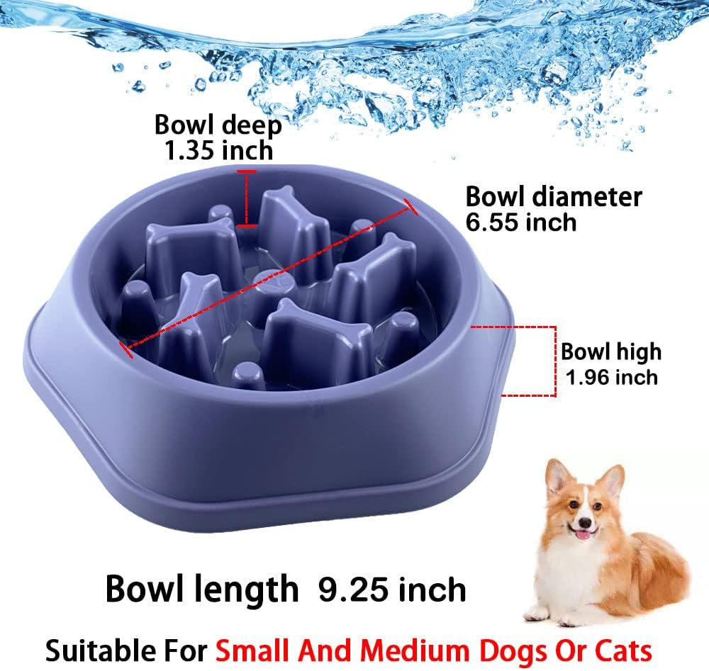 Slow Feeder Bowl 